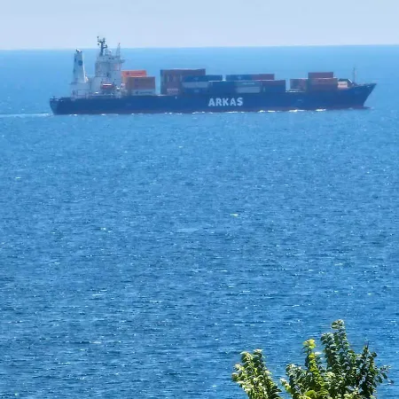 за гости гаван بايالا