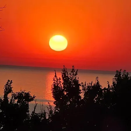 за гости гаван شقة *