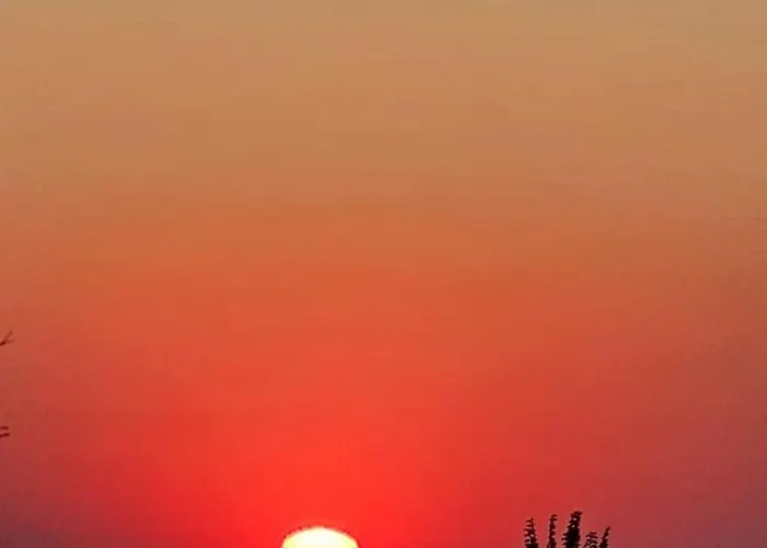 за гости гаван *