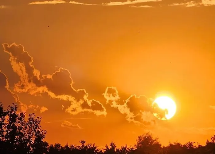 за гости гаван *