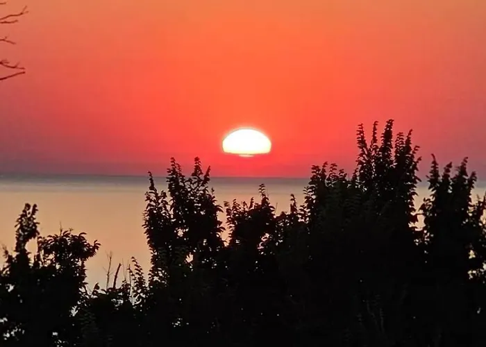 за гости гаван * Byala (Varna)